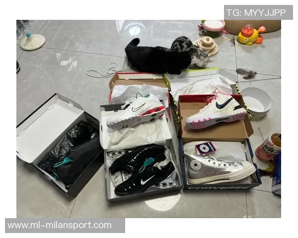 Nike为布朗尼母校塞拉峡谷定制LeBron23篮球鞋展现青春活力与运动精神