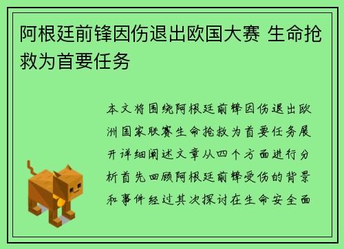 阿根廷前锋因伤退出欧国大赛 生命抢救为首要任务